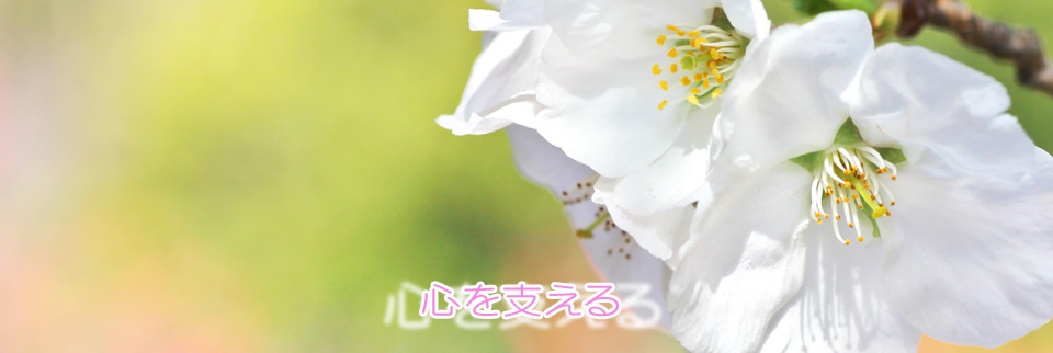 株式会社エコー