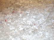 再生ＰＥＴ原料(ラベルなし、キャップあり)