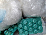 RPF選別・前処理