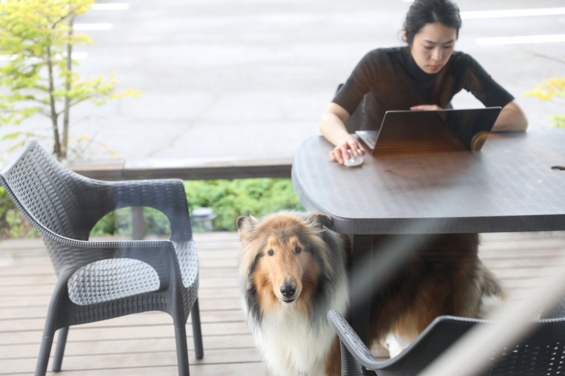 ペットと一緒に出社する社員